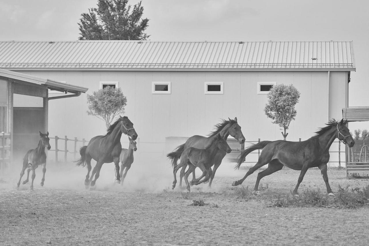 Alle Siepi Reggio Emilia Exteriér fotografie