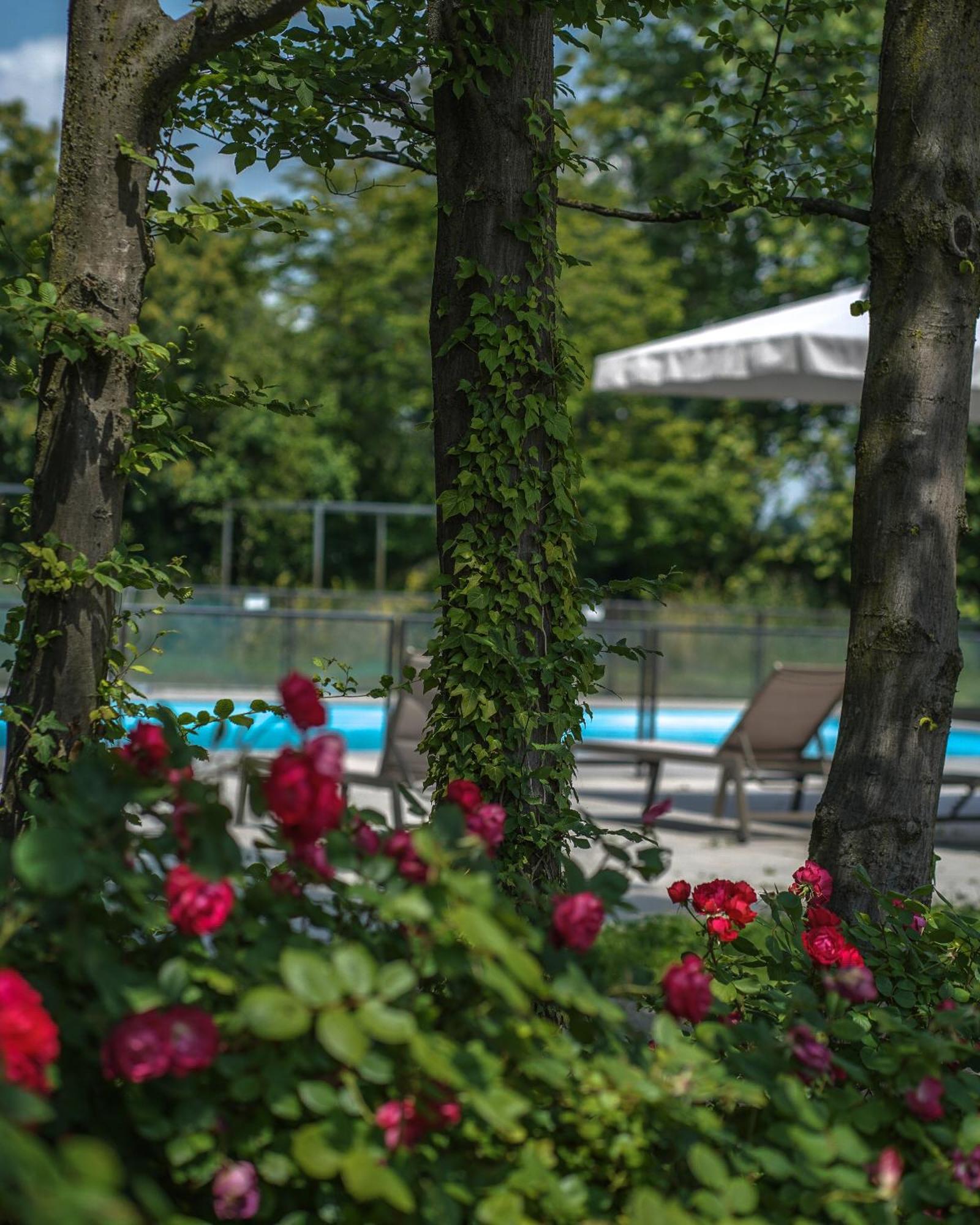 Alle Siepi Reggio Emilia Exteriér fotografie